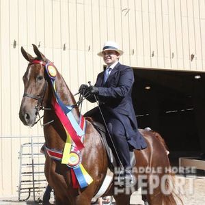 Meet your Posher, Zachary